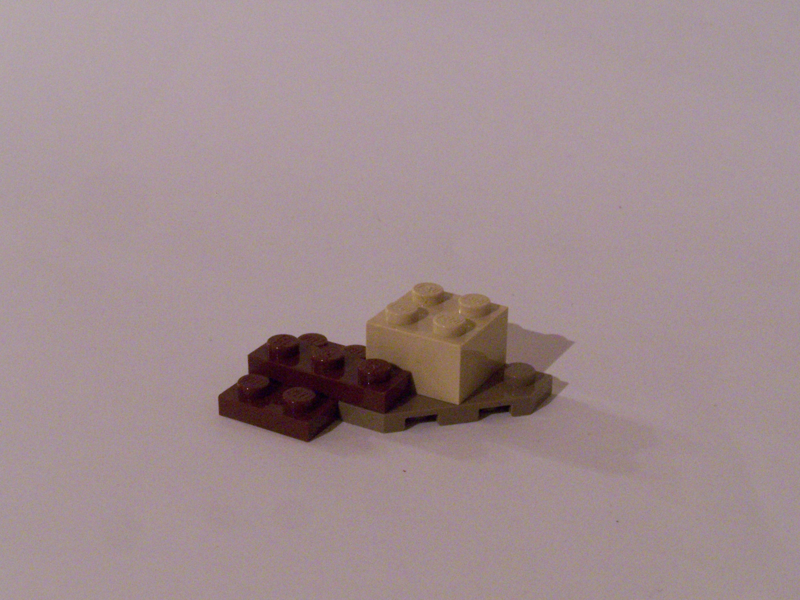100_7401.jpg