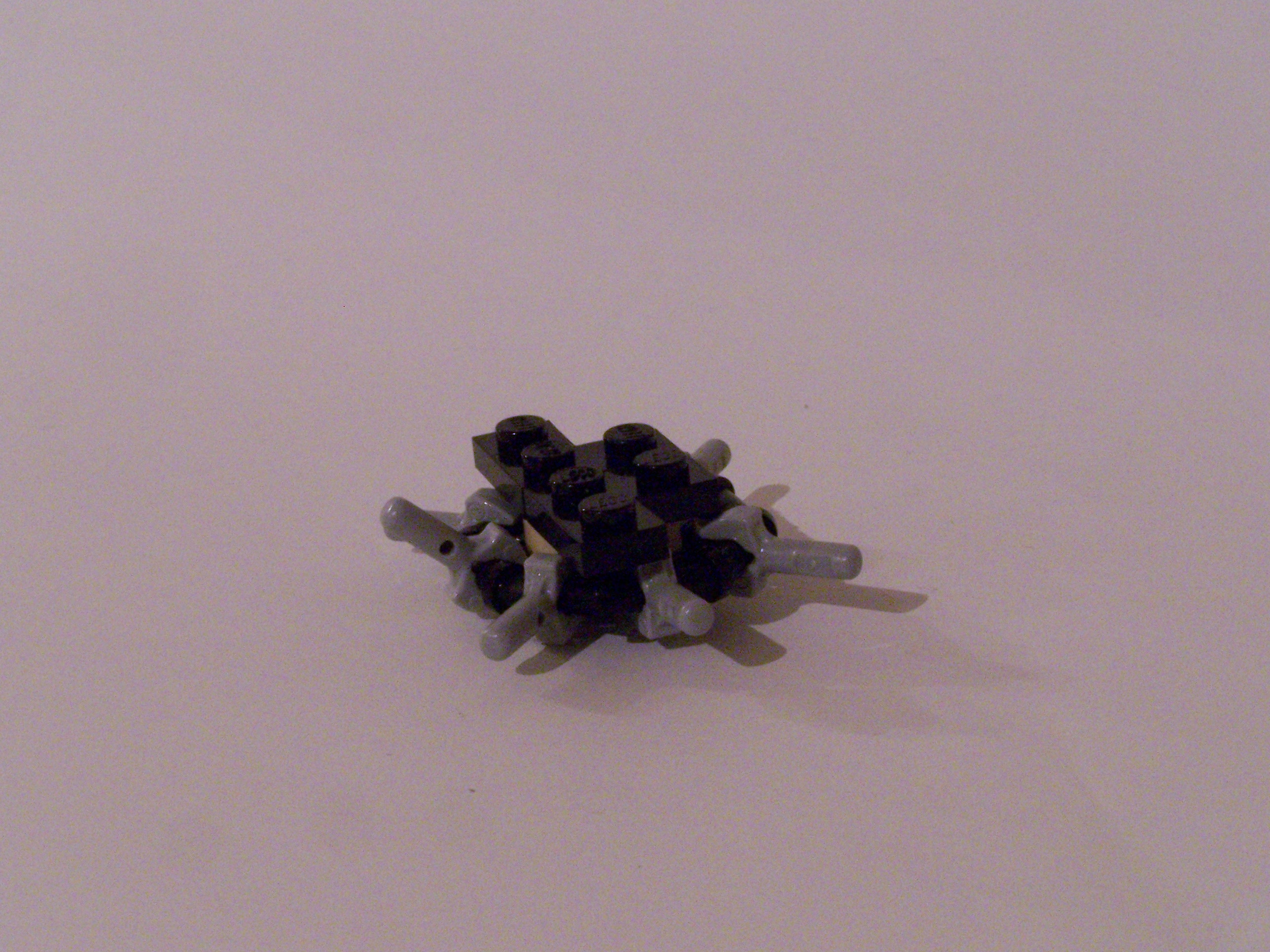 100_7406.jpg