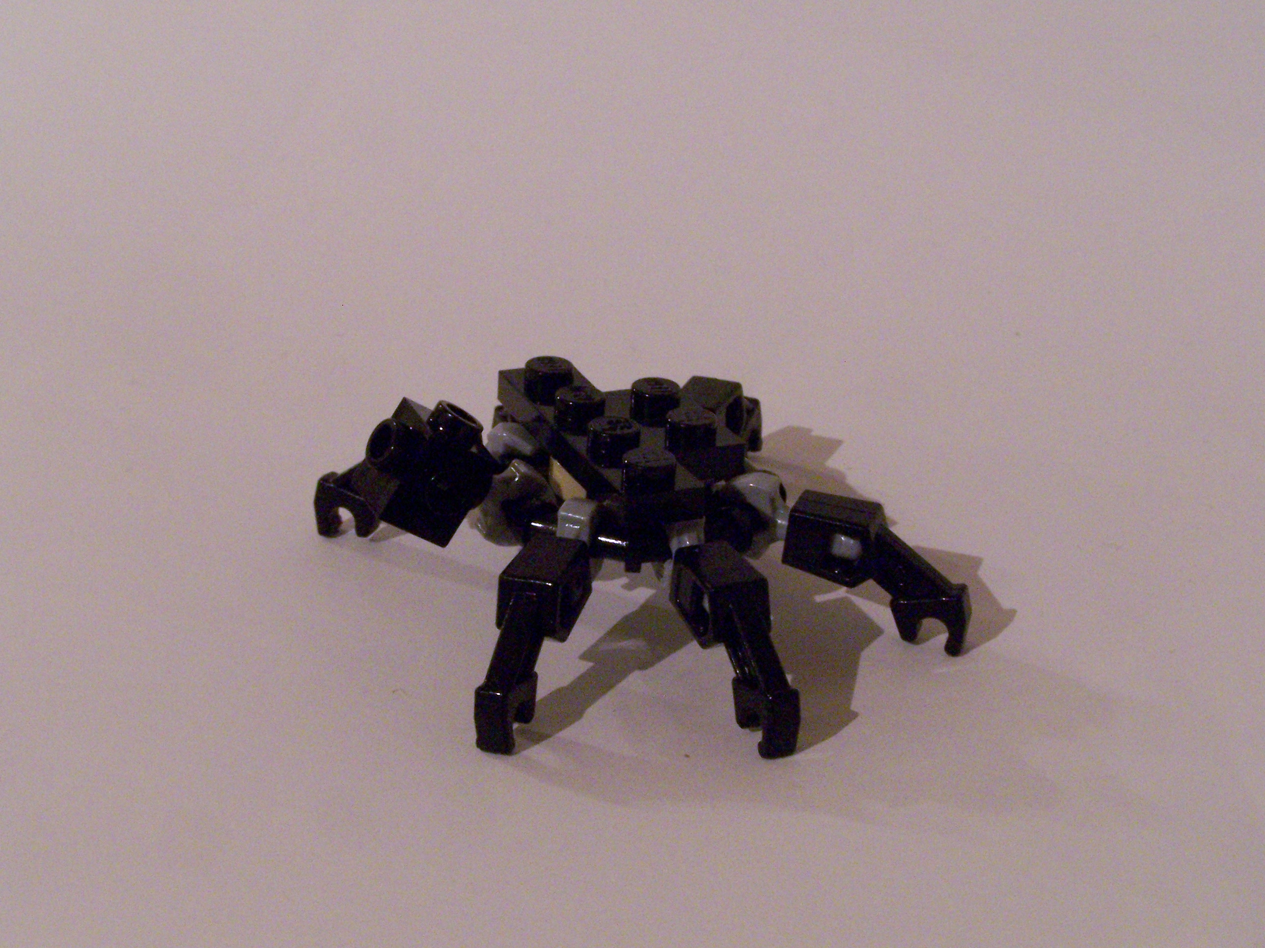100_7407.jpg