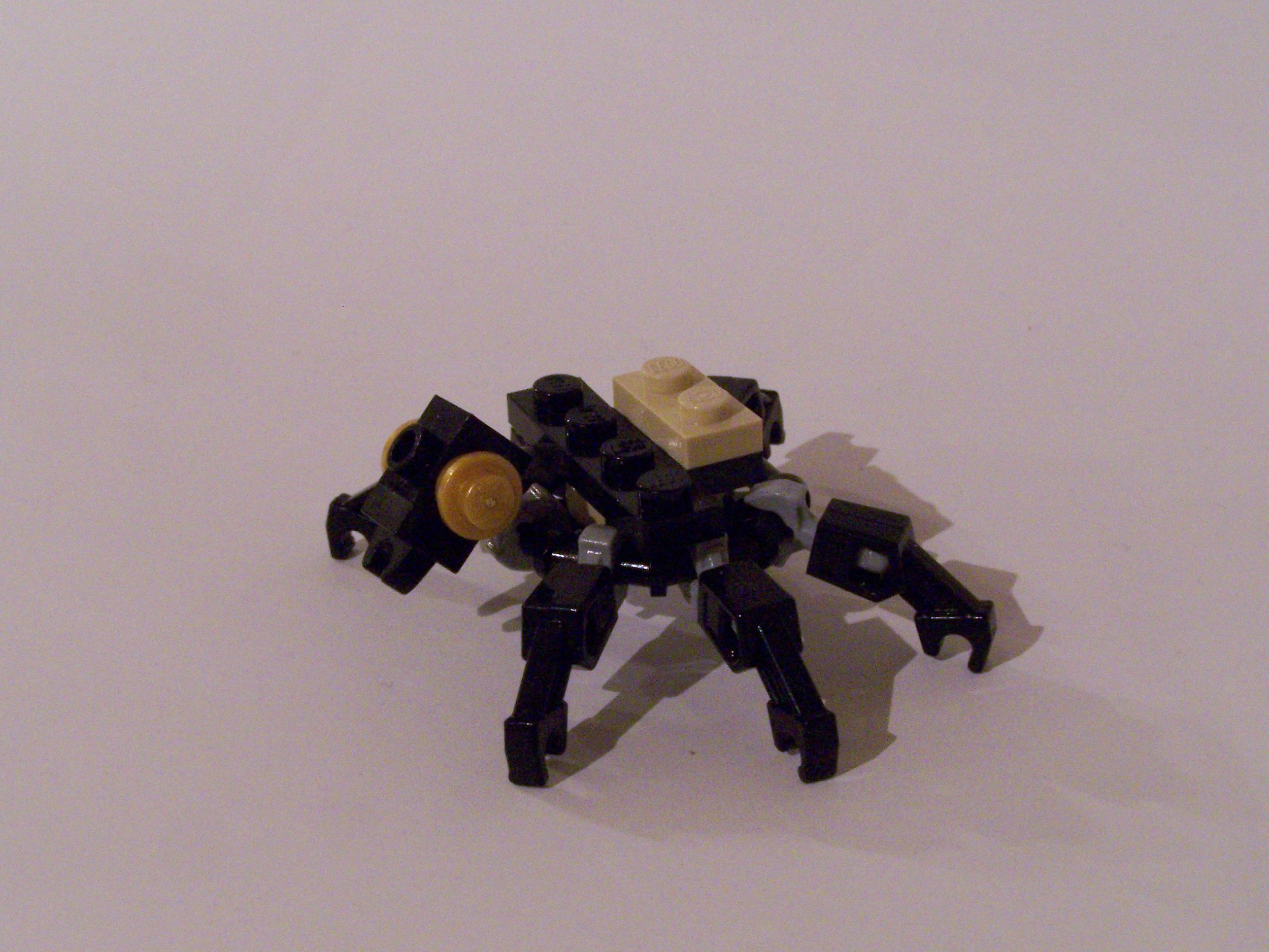 100_7408.jpg