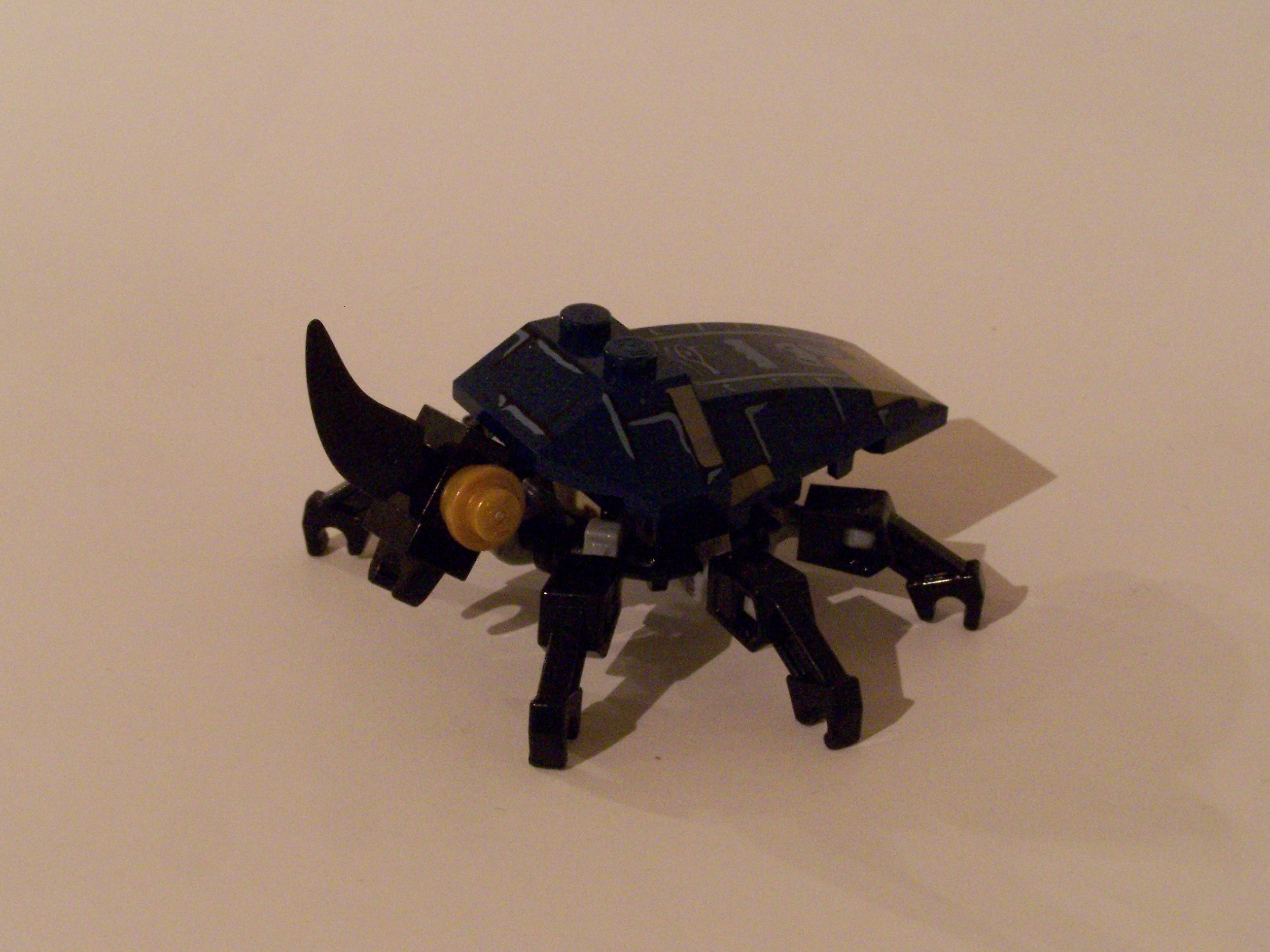 100_7410.jpg