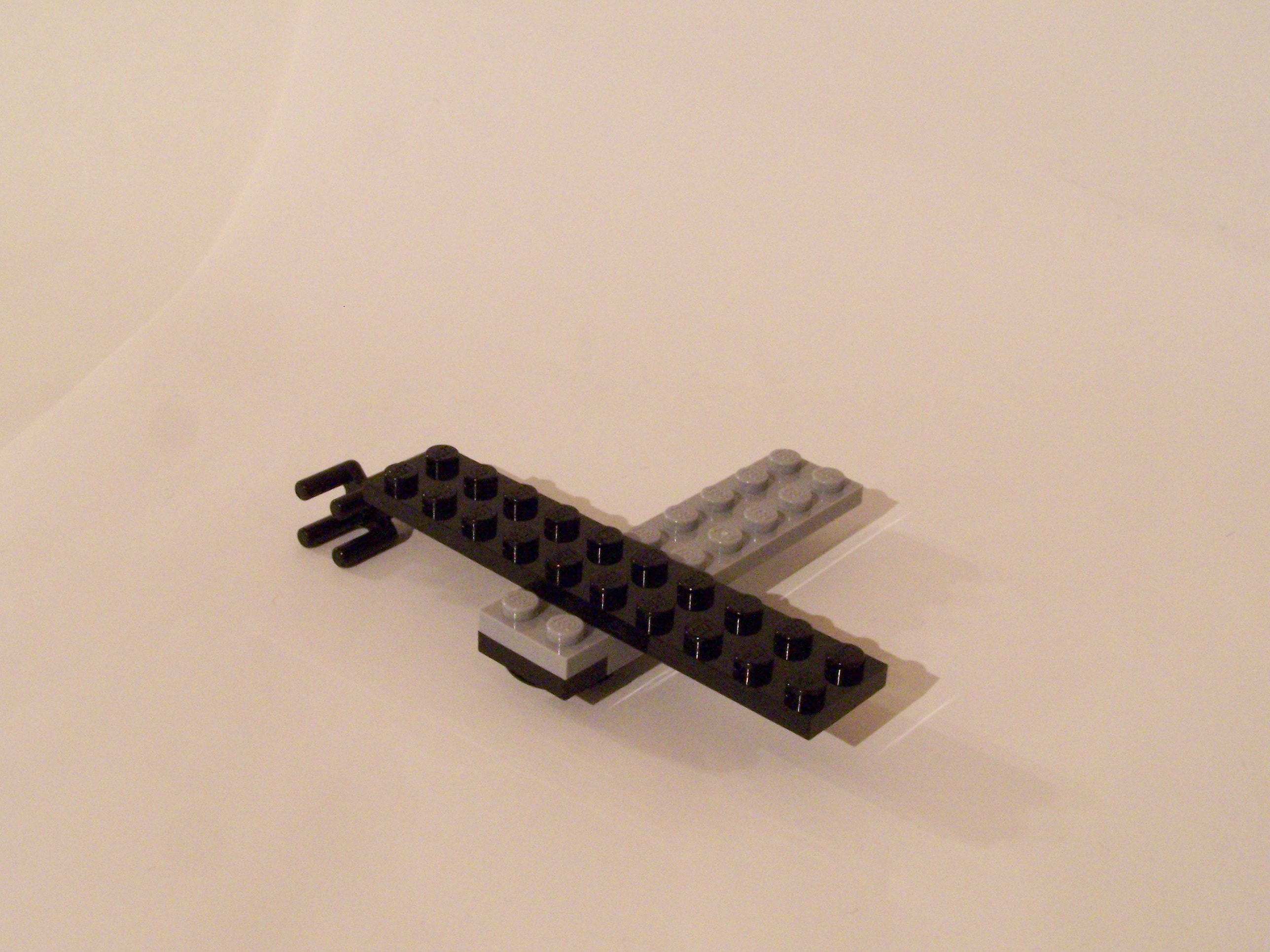 100_7408.jpg