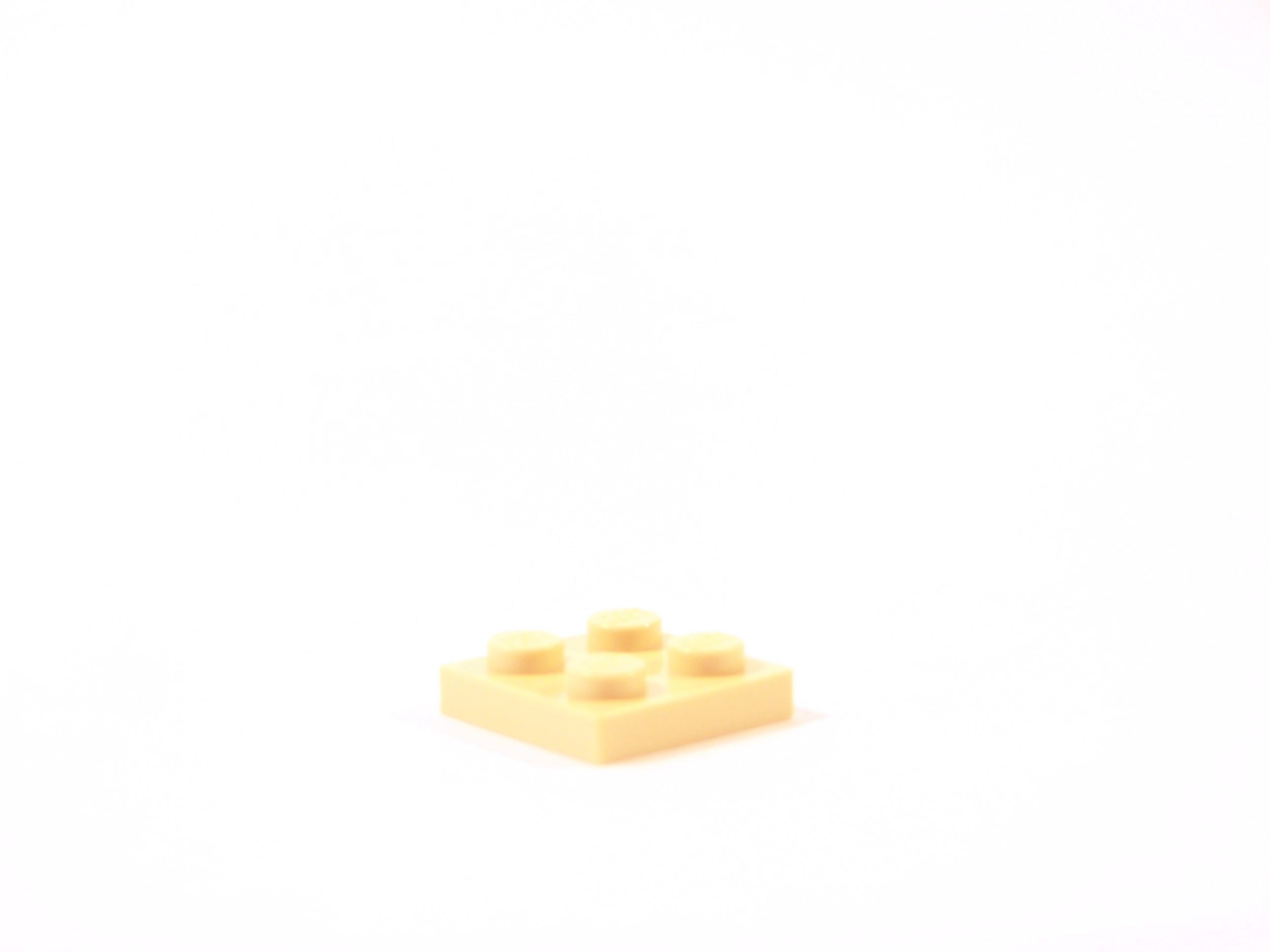 100_9973.jpg