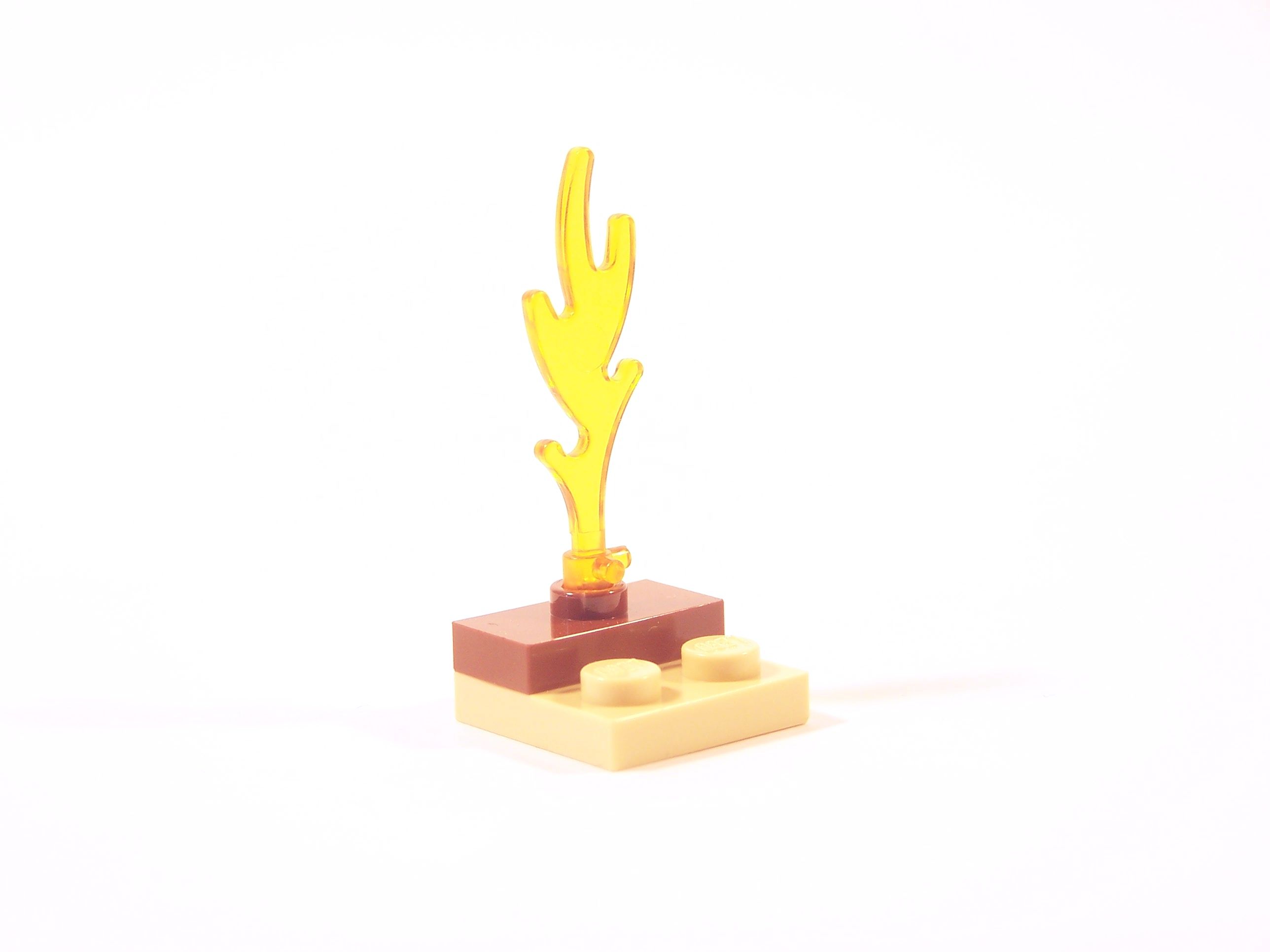 100_9974.jpg
