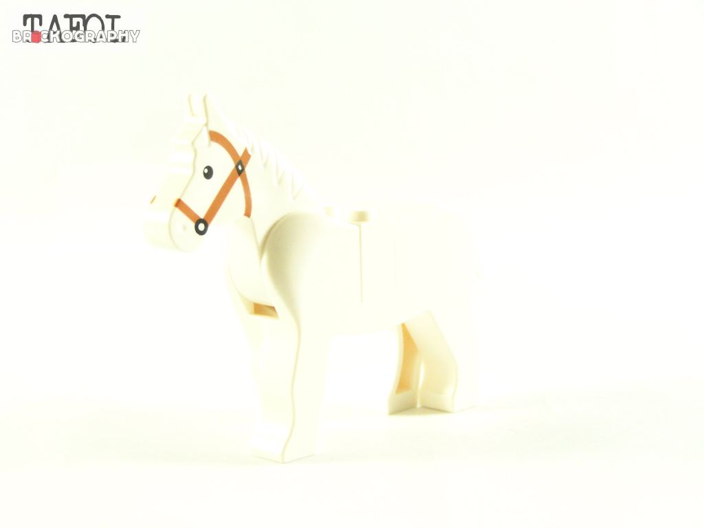 100_4692.jpg