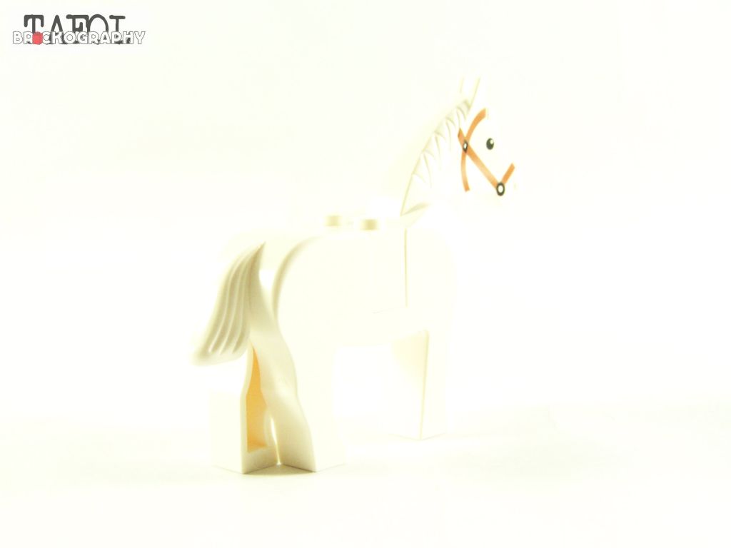 100_4693.jpg