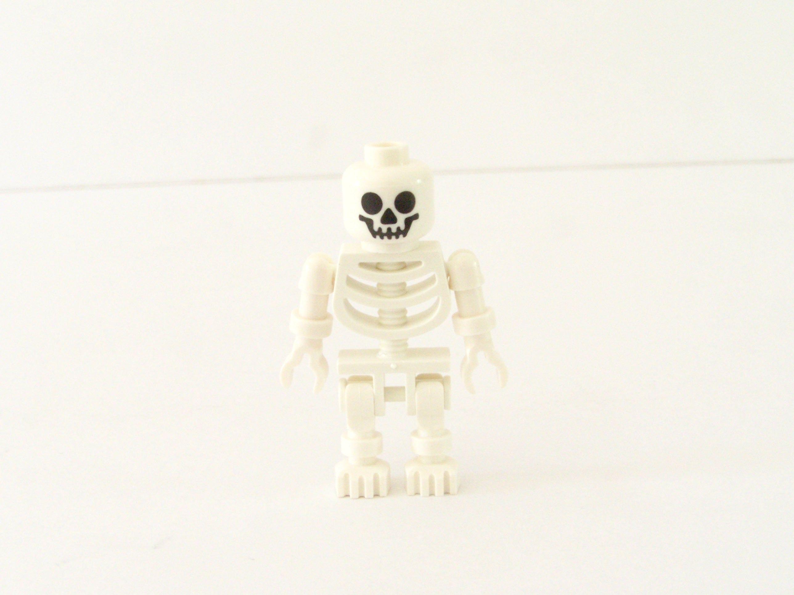 100_1703.jpg