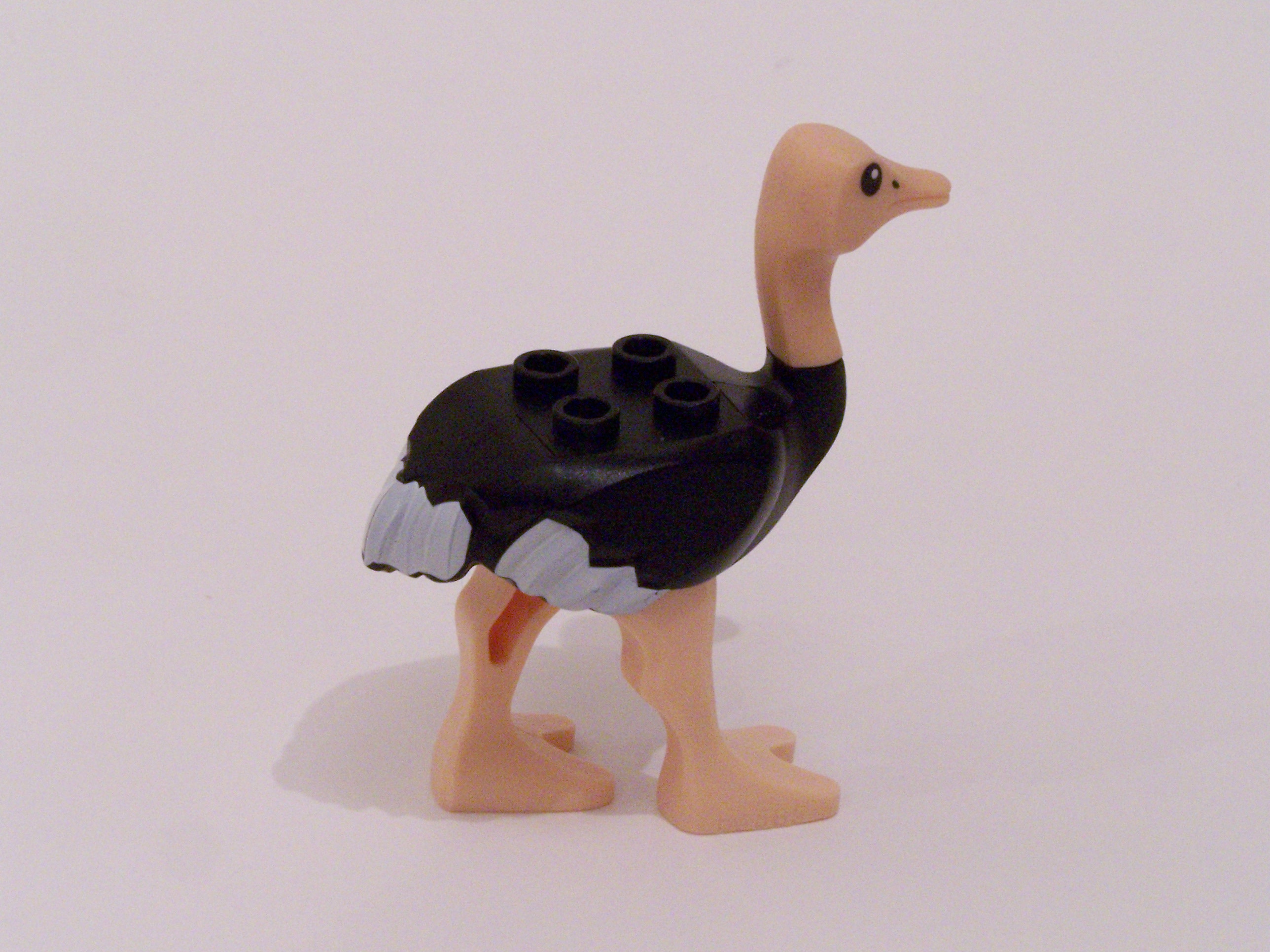 100_4058.jpg