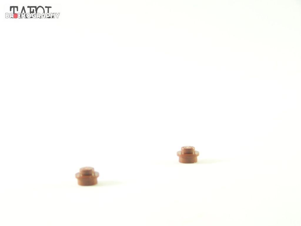 100_1824.jpg