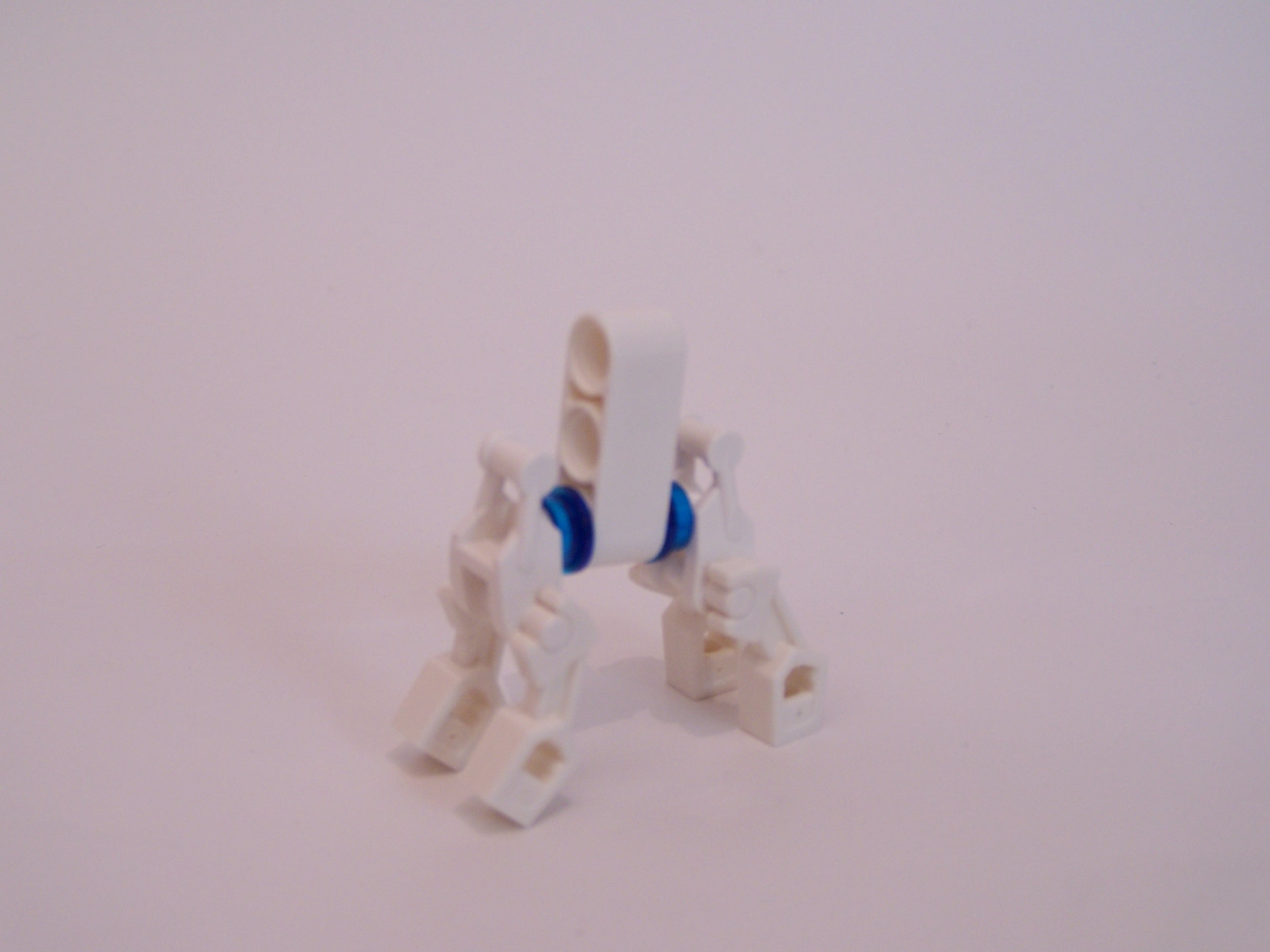 100_2303.jpg