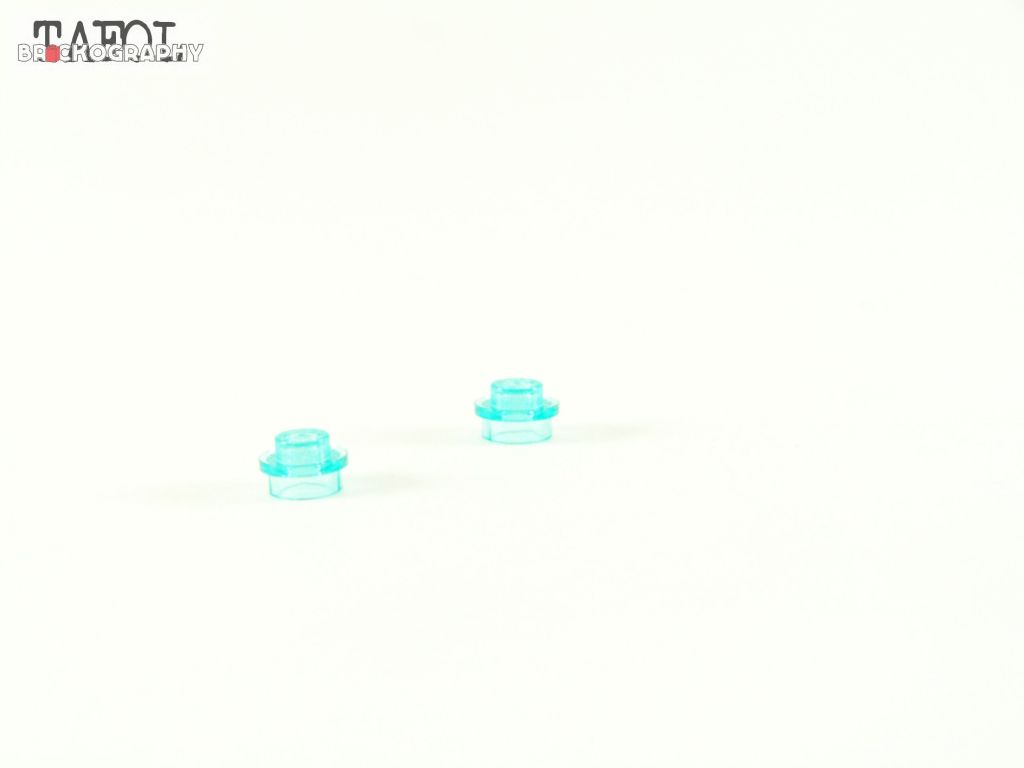 100_1100.jpg