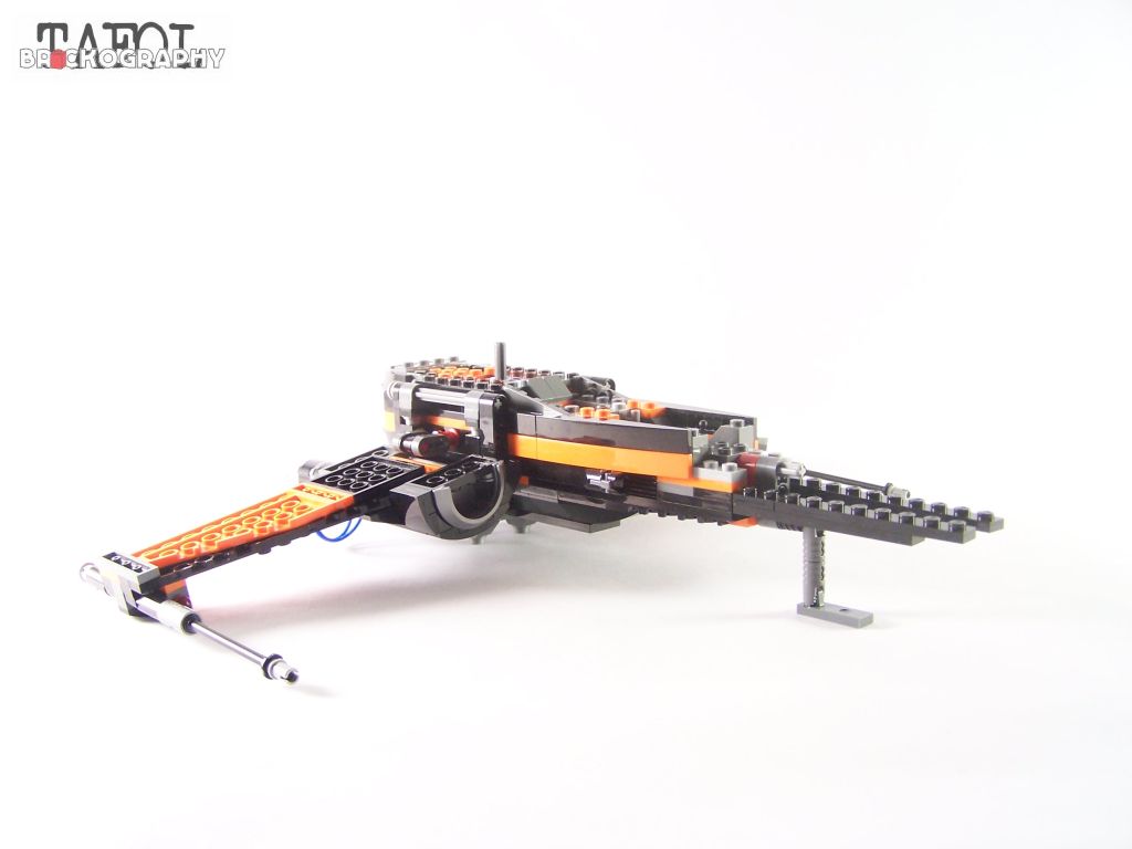 100_9774.jpg