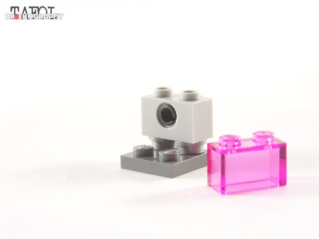 100_9736.jpg