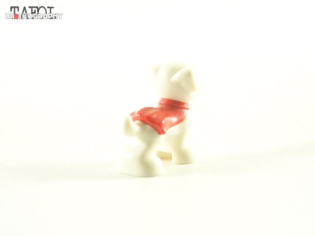 100_1728.jpg