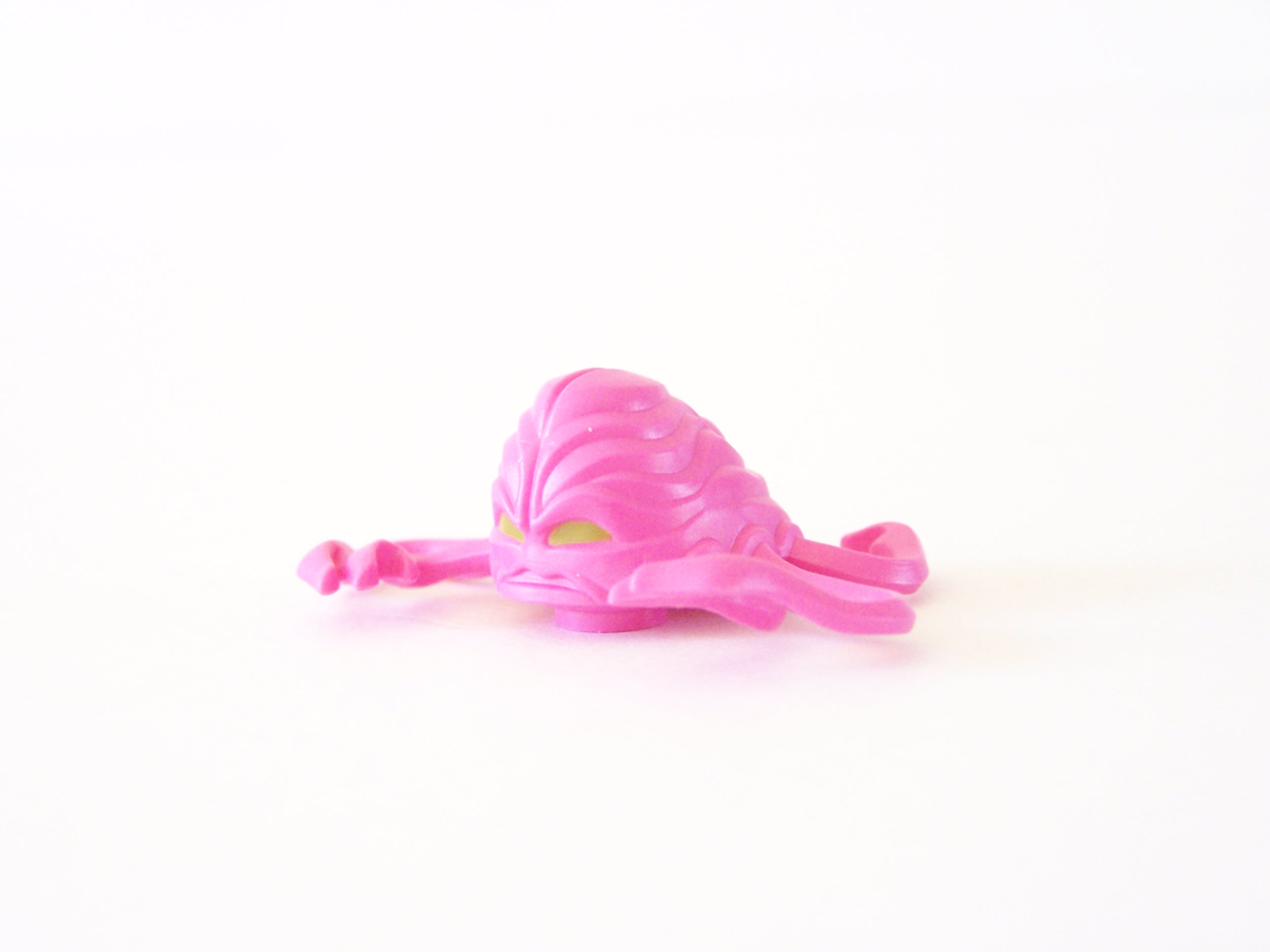 100_8837.jpg