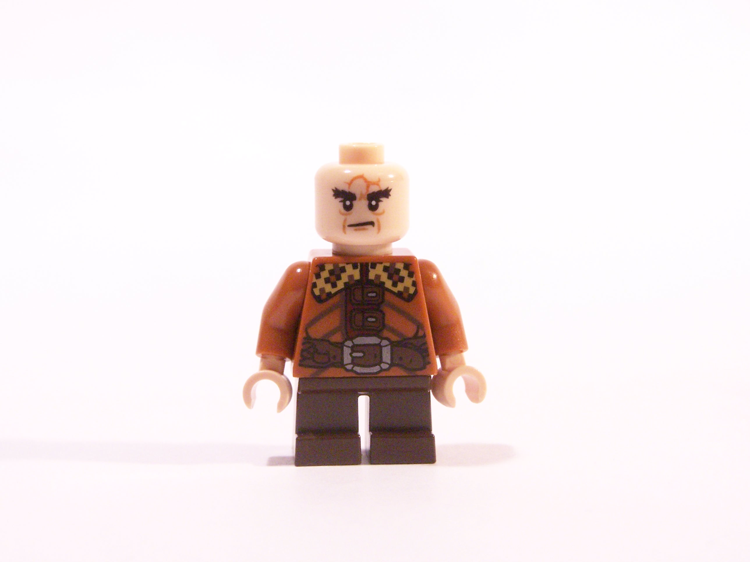 100_7003.jpg