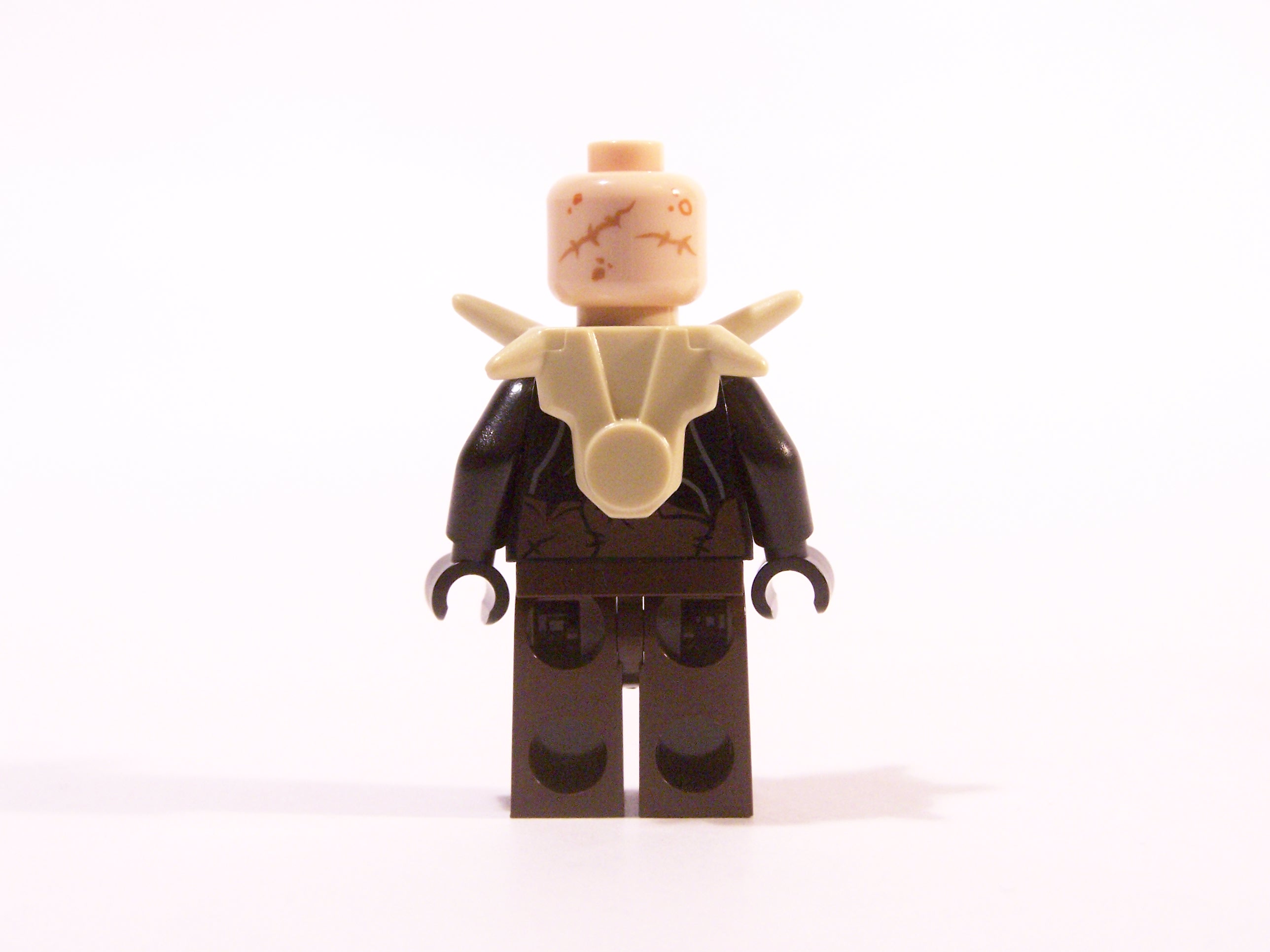 100_7006.jpg