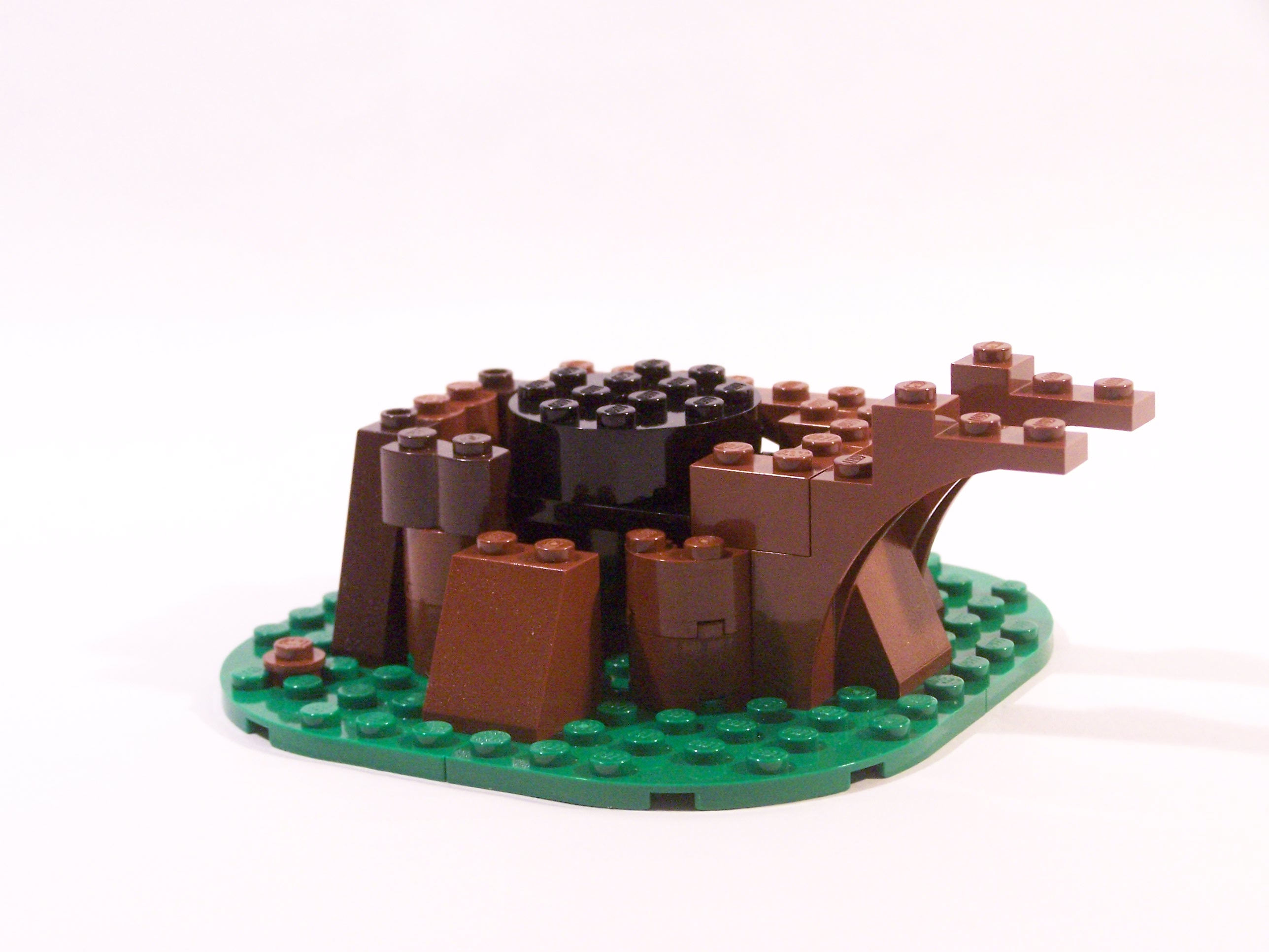 100_7065.jpg