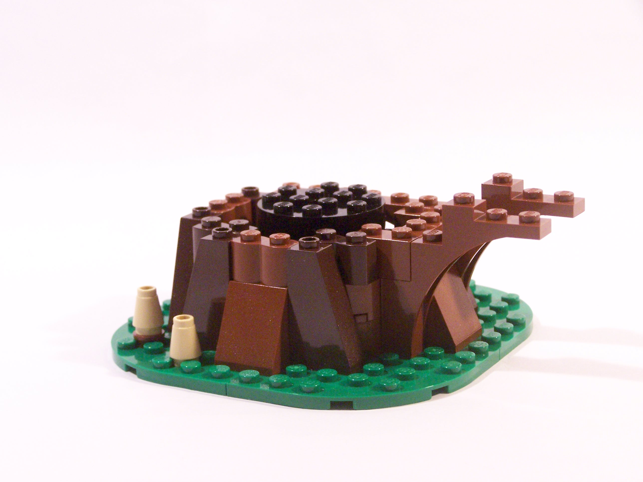 100_7067.jpg