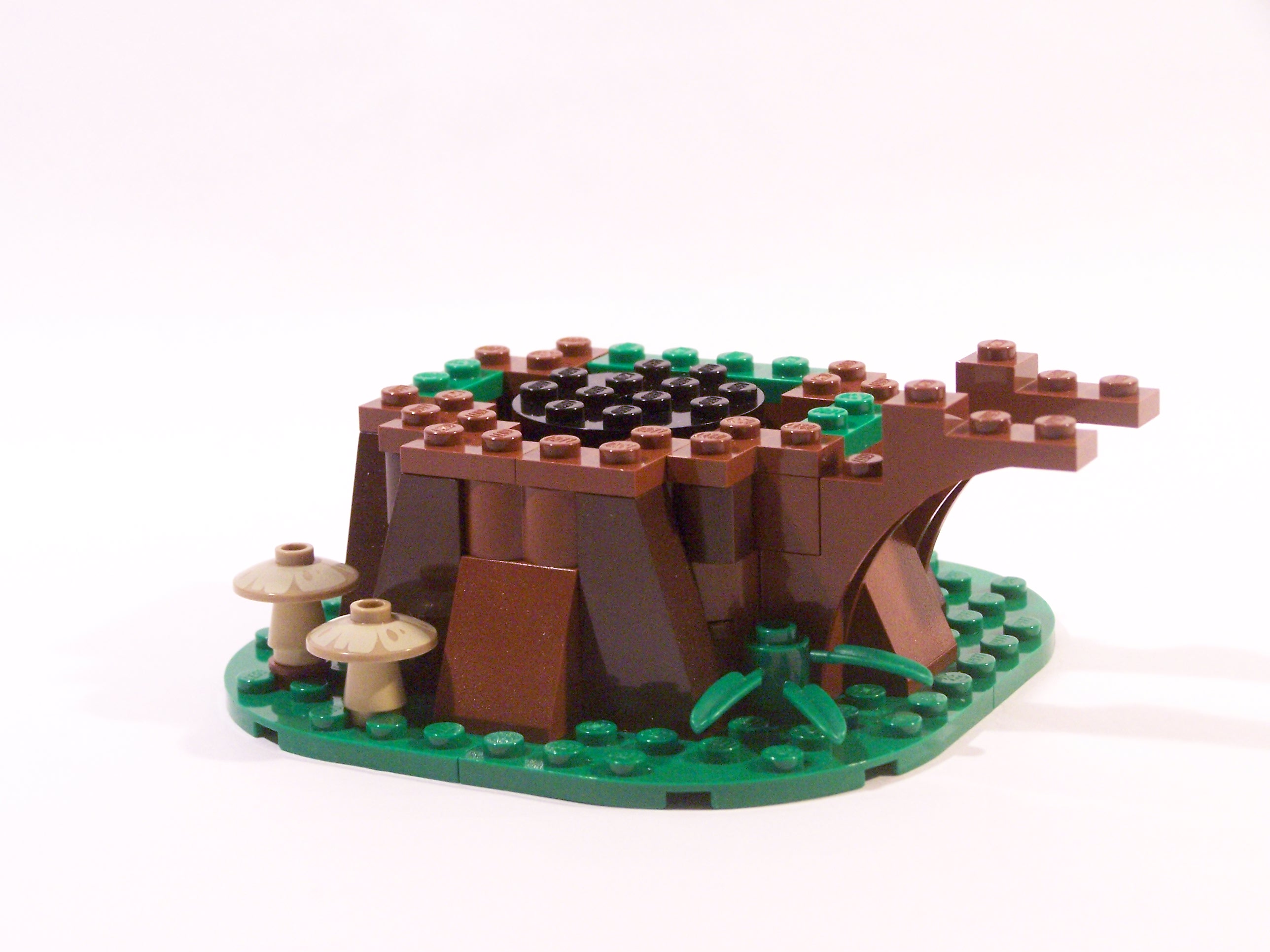 100_7069.jpg
