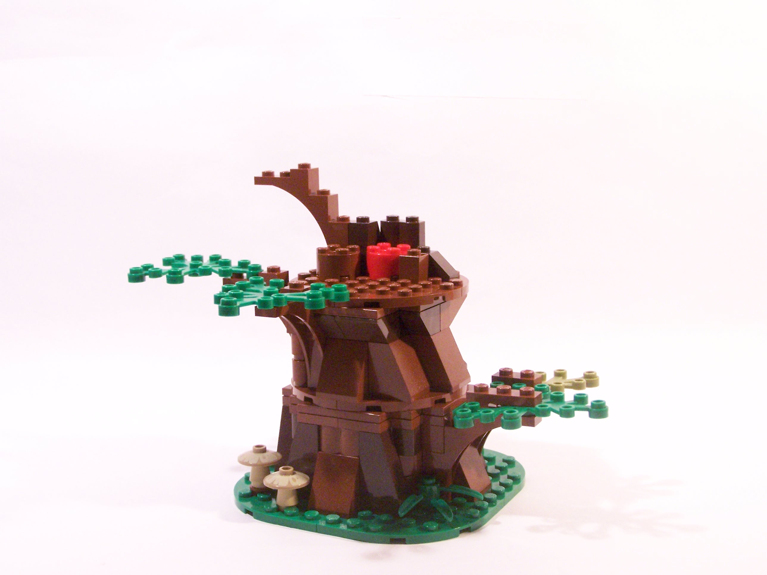 100_7085.jpg