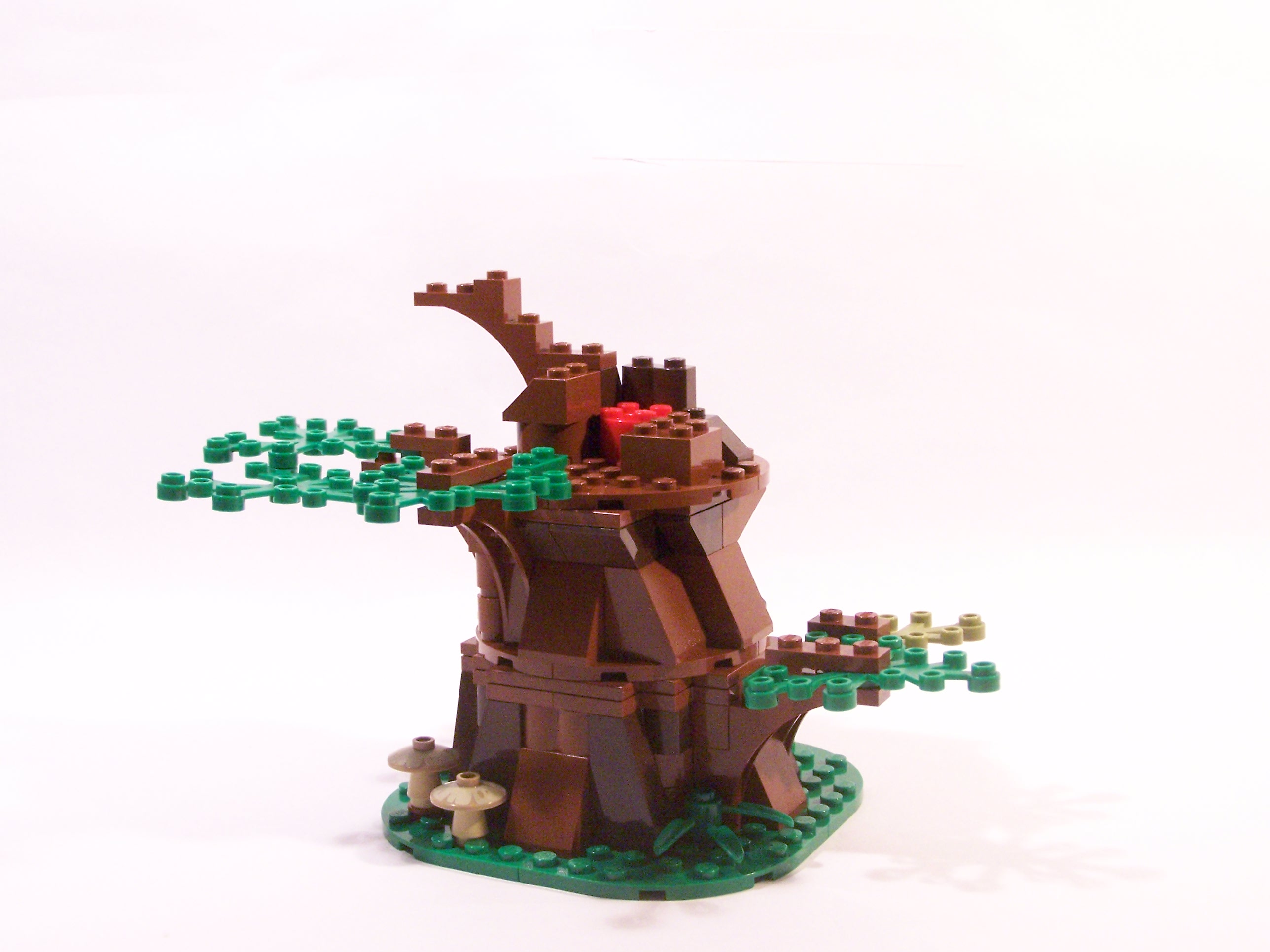 100_7086.jpg