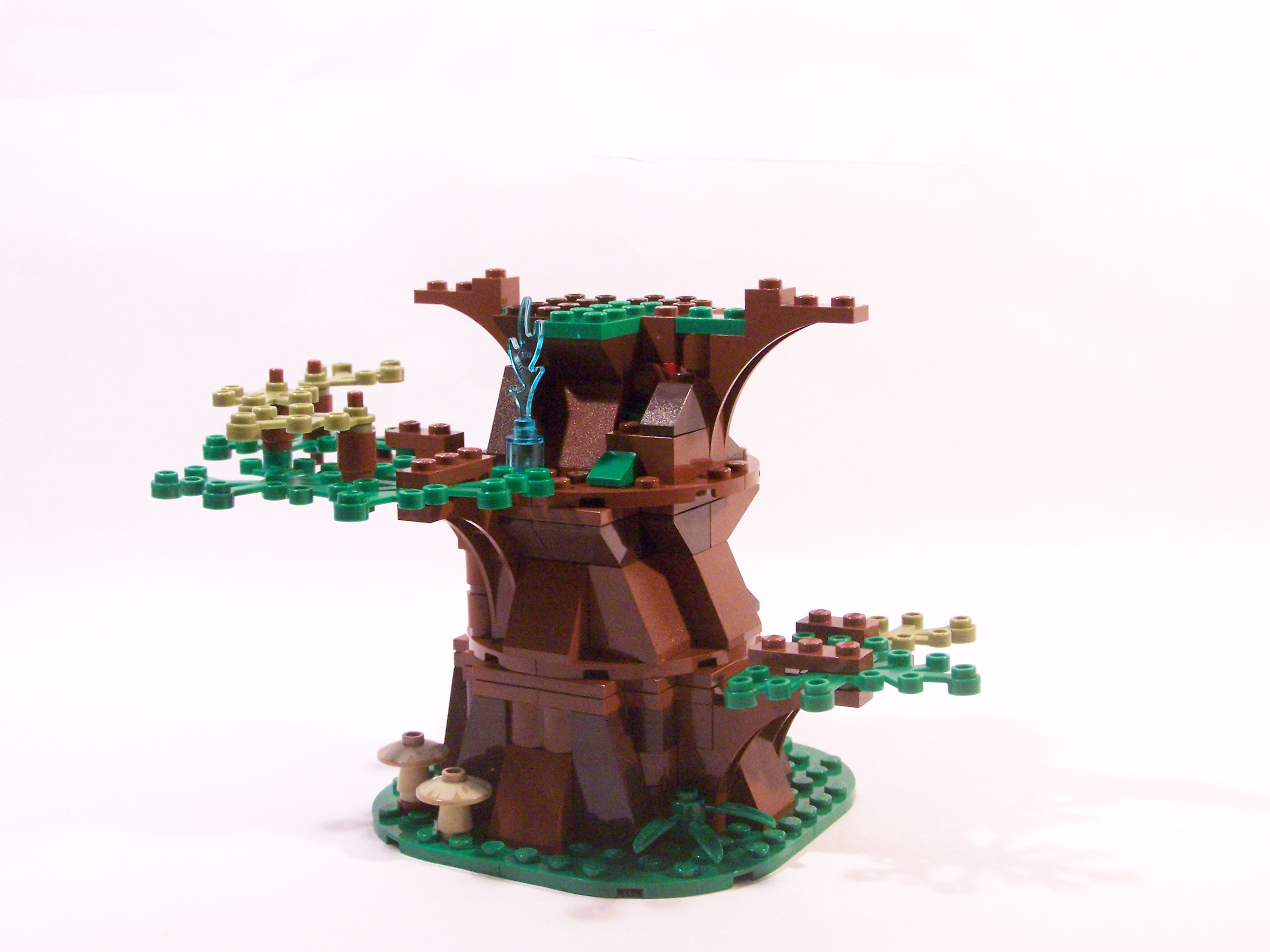 100_7093.jpg