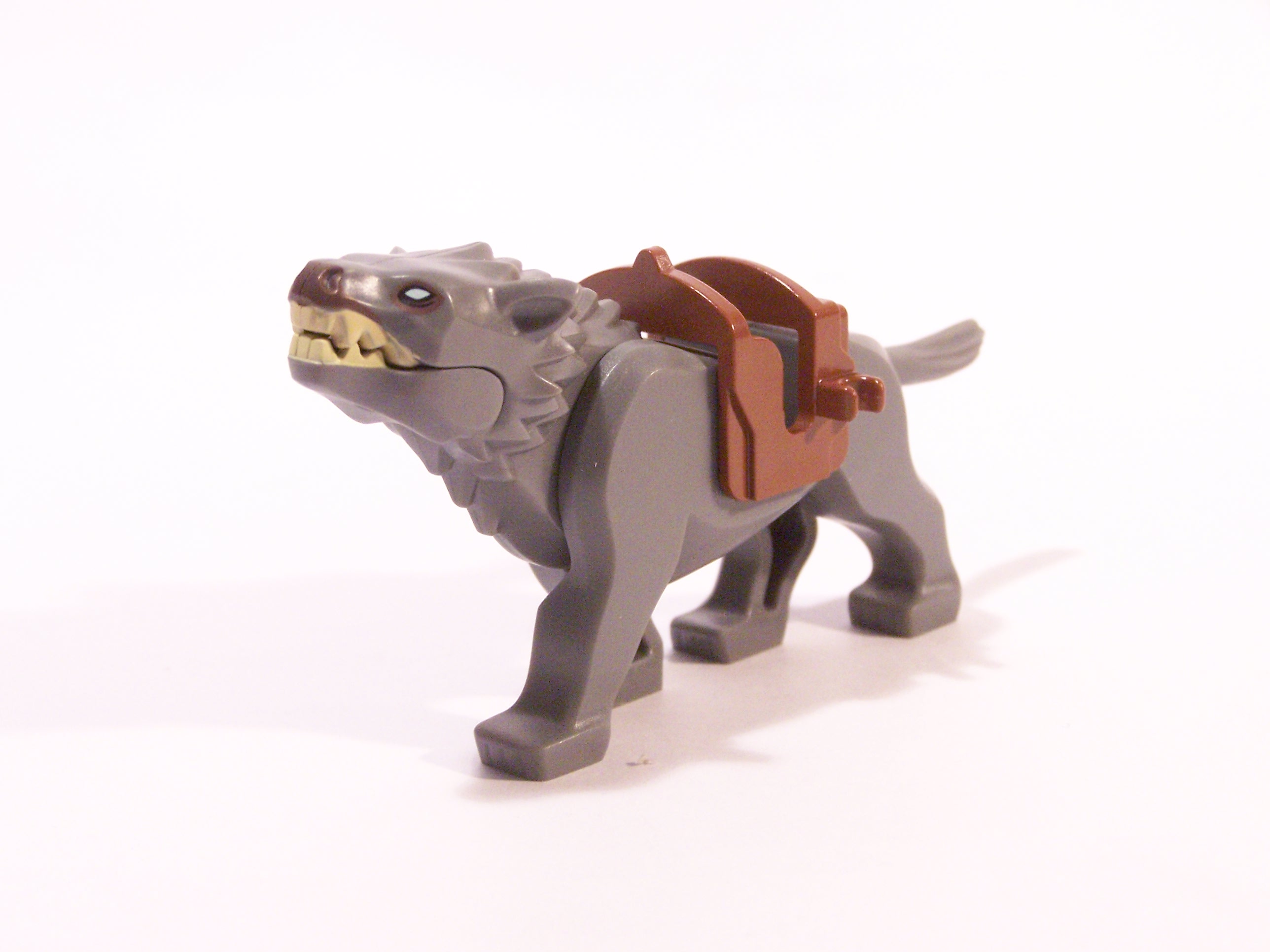 100_7114.jpg