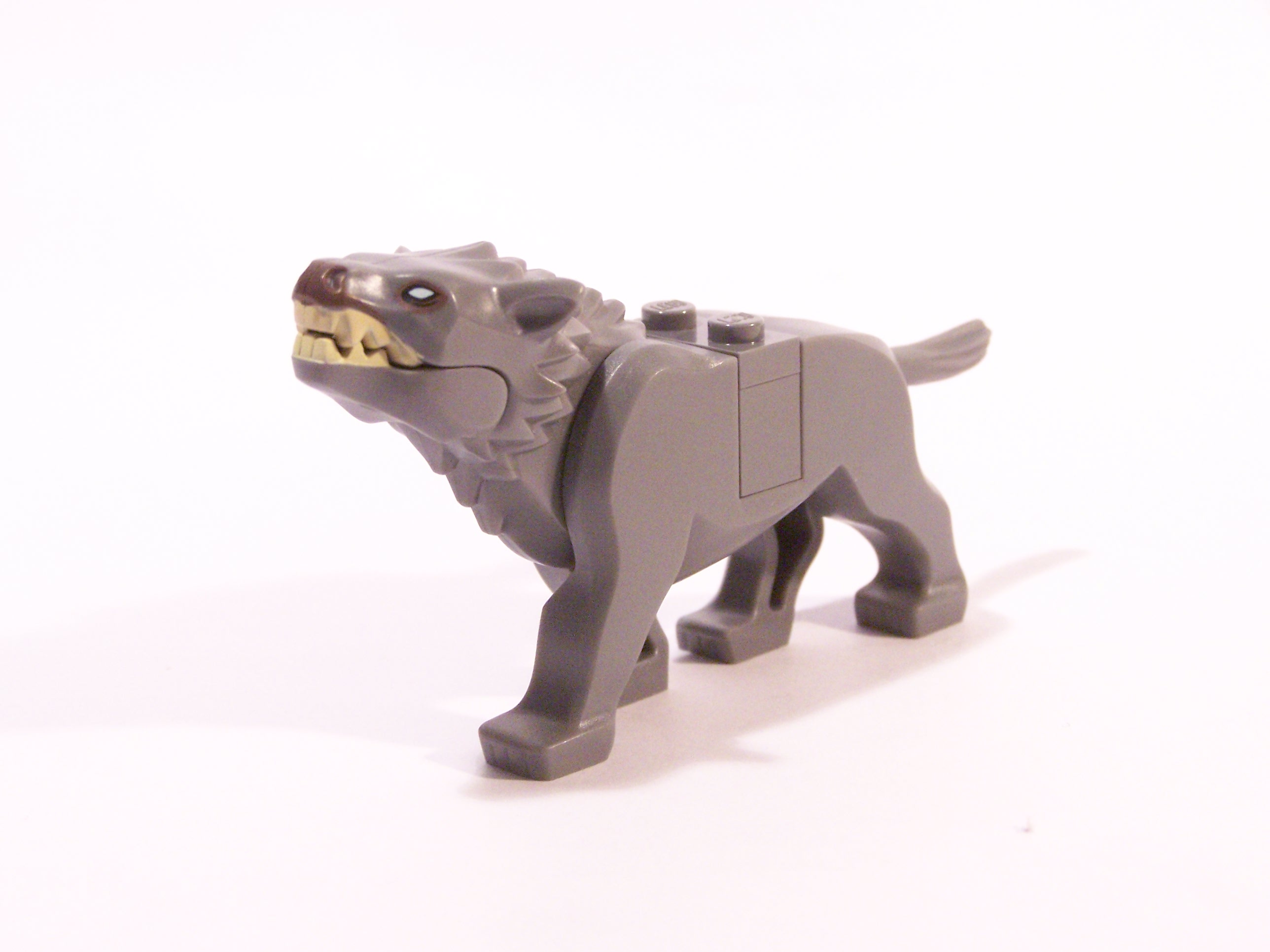 100_7115.jpg