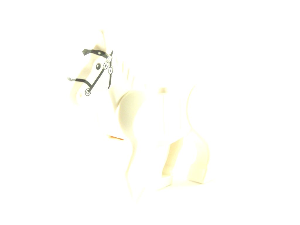 100_2791.jpg