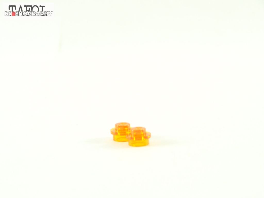 100_3750.jpg