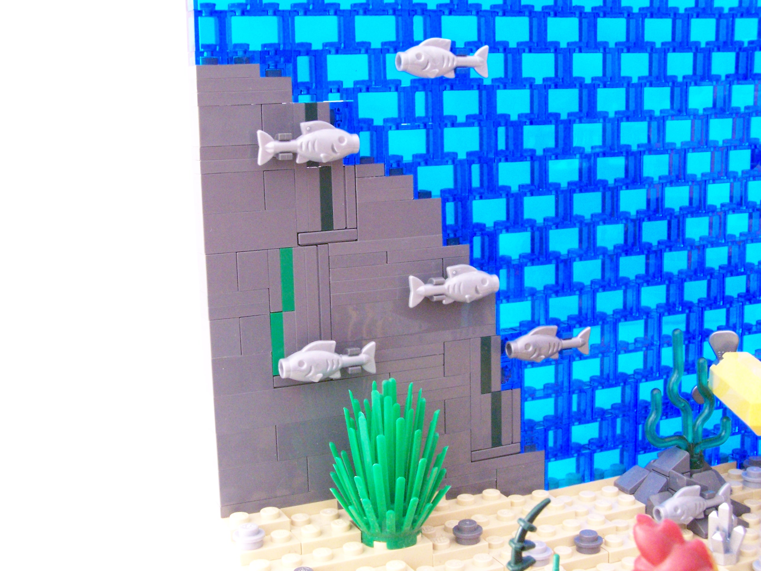 100_5775.jpg