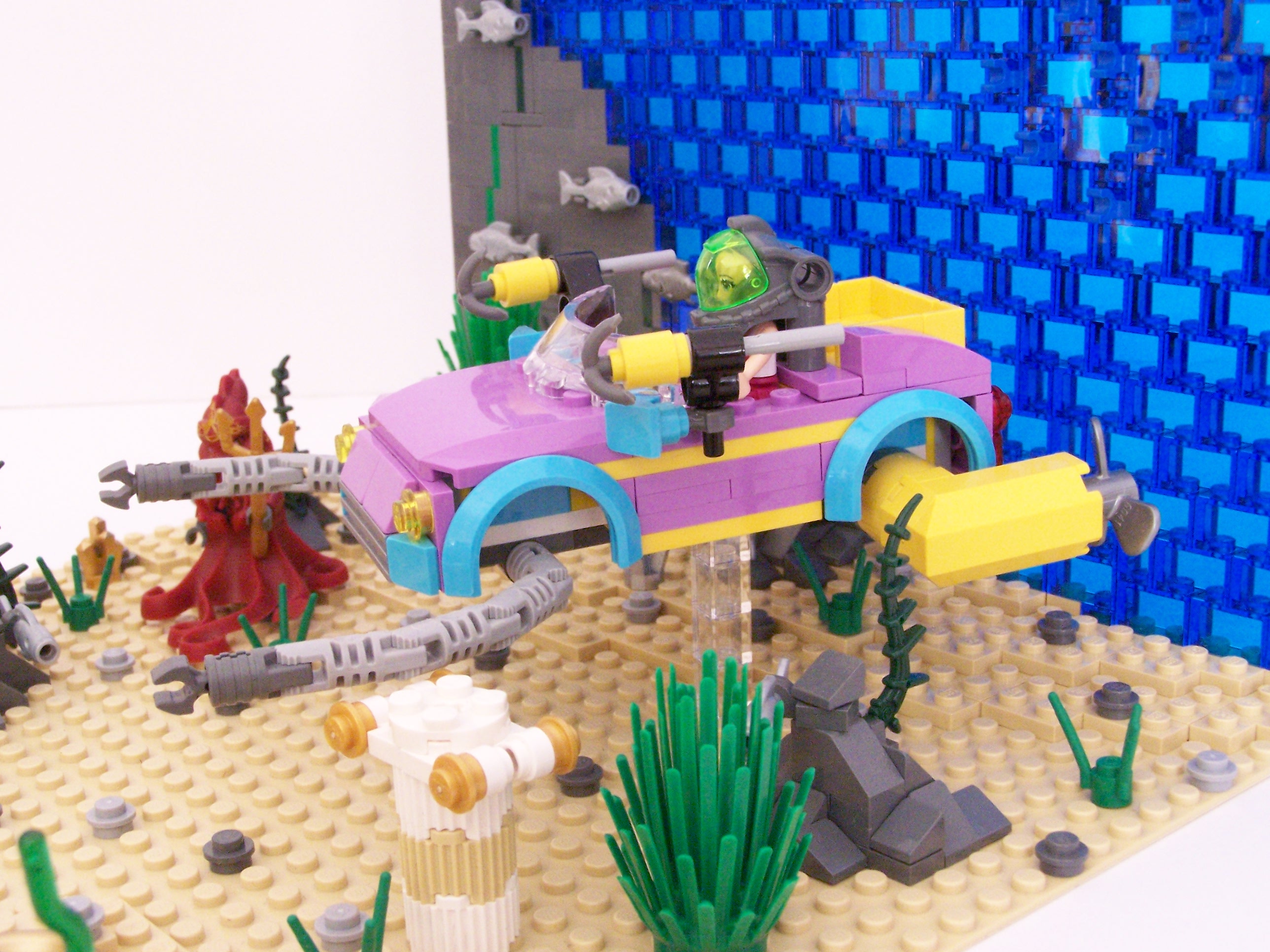100_5784.jpg