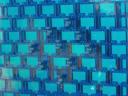 100_5783.jpg