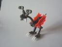 ostrich4.jpg