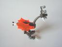 ostrich5.jpg