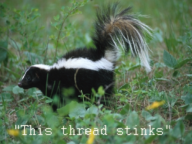 stinkthread.jpg