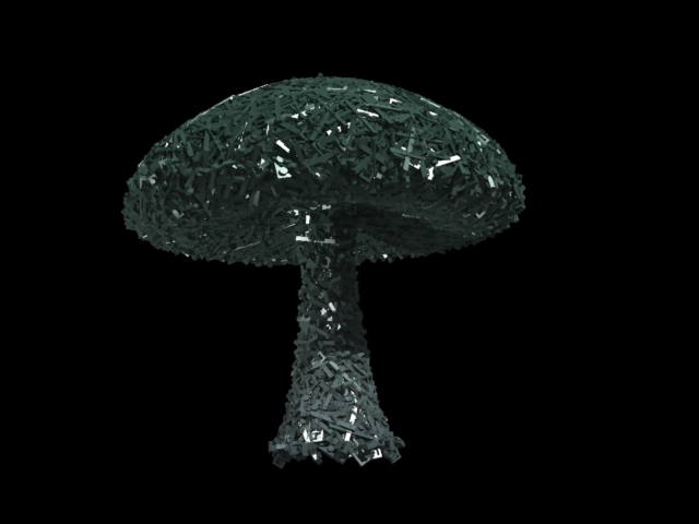 mushroomtest.jpg