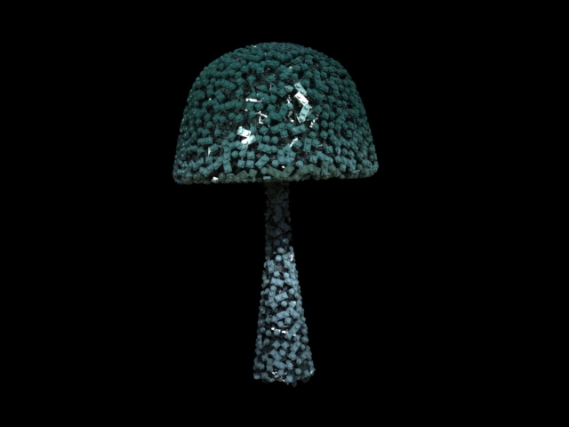 mushroomtest2.jpg