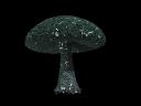 mushroomtest.jpg