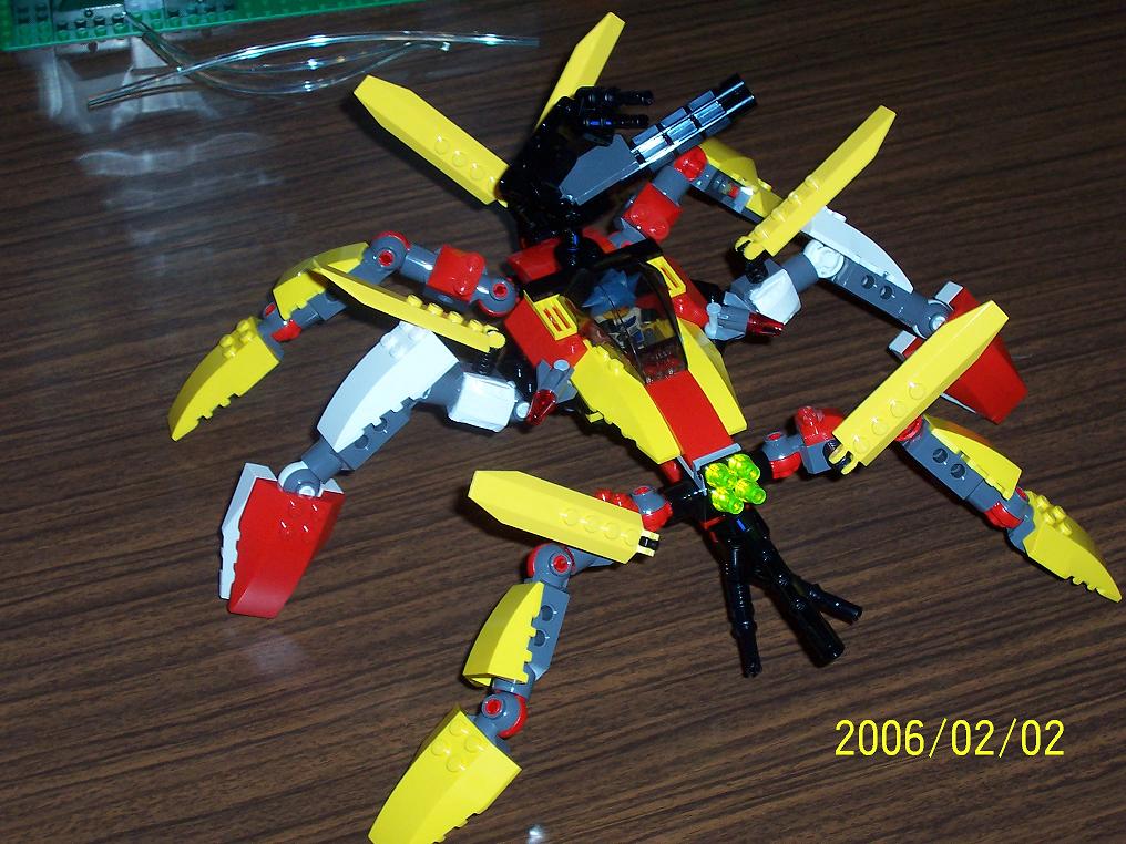 insect_003.jpg