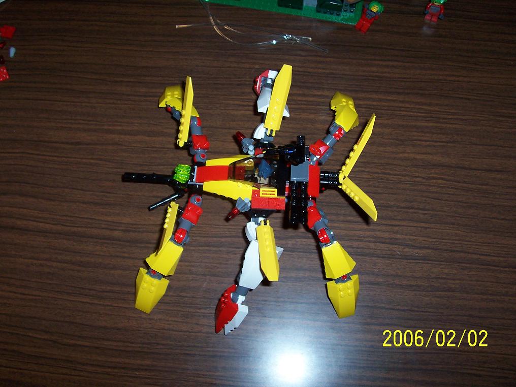 insect_005.jpg