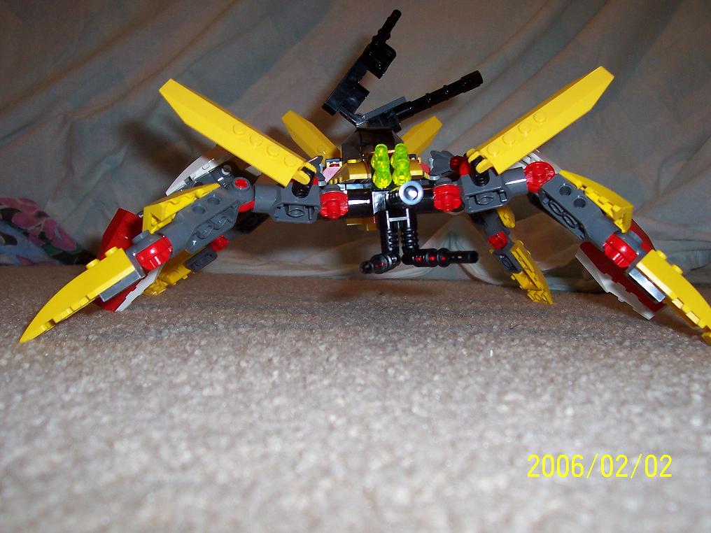 insect_007.jpg