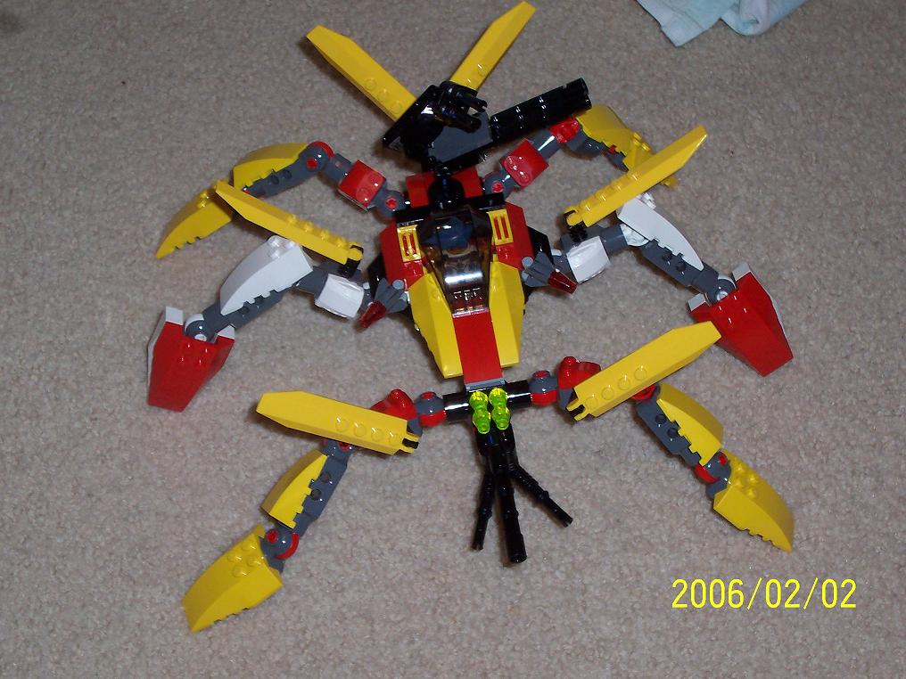 insect_008.jpg