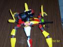 insect_002.jpg