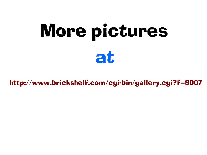 zmorepics.jpg