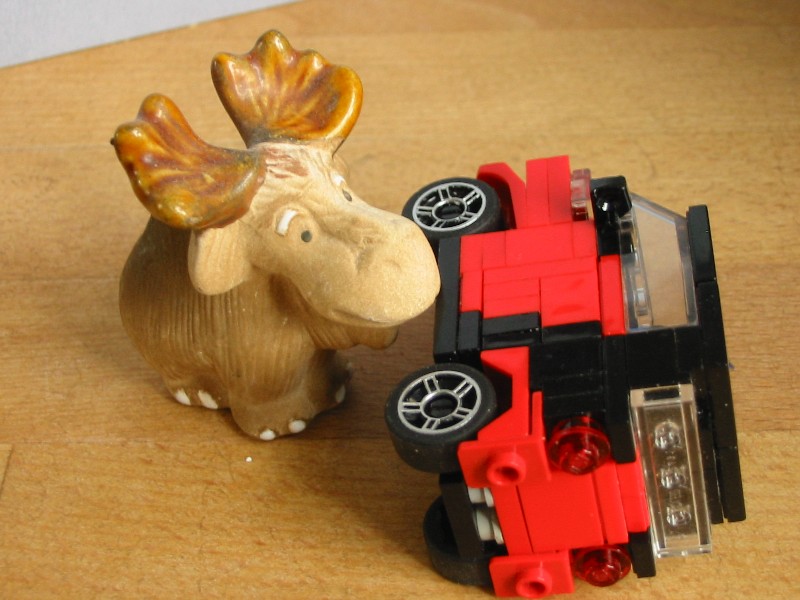 smartbewareofthemoose.jpg