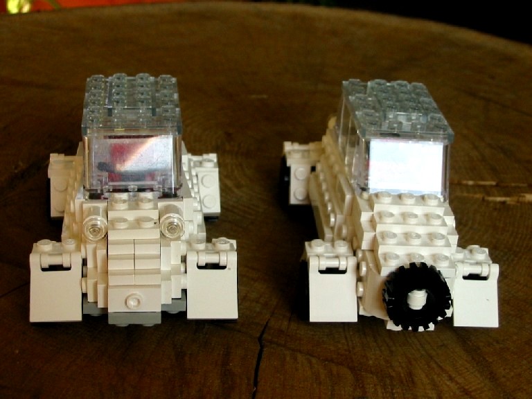 whitetigers1.jpg