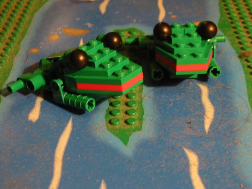 frog01.jpg