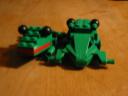 frog09.jpg